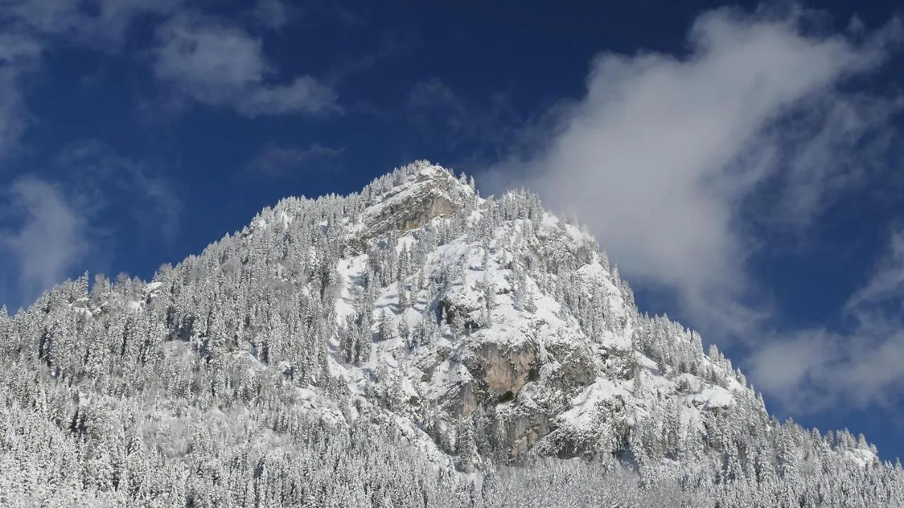 Am Hirschberg Διαμέρισμα Bad Hindelang Γερμανία